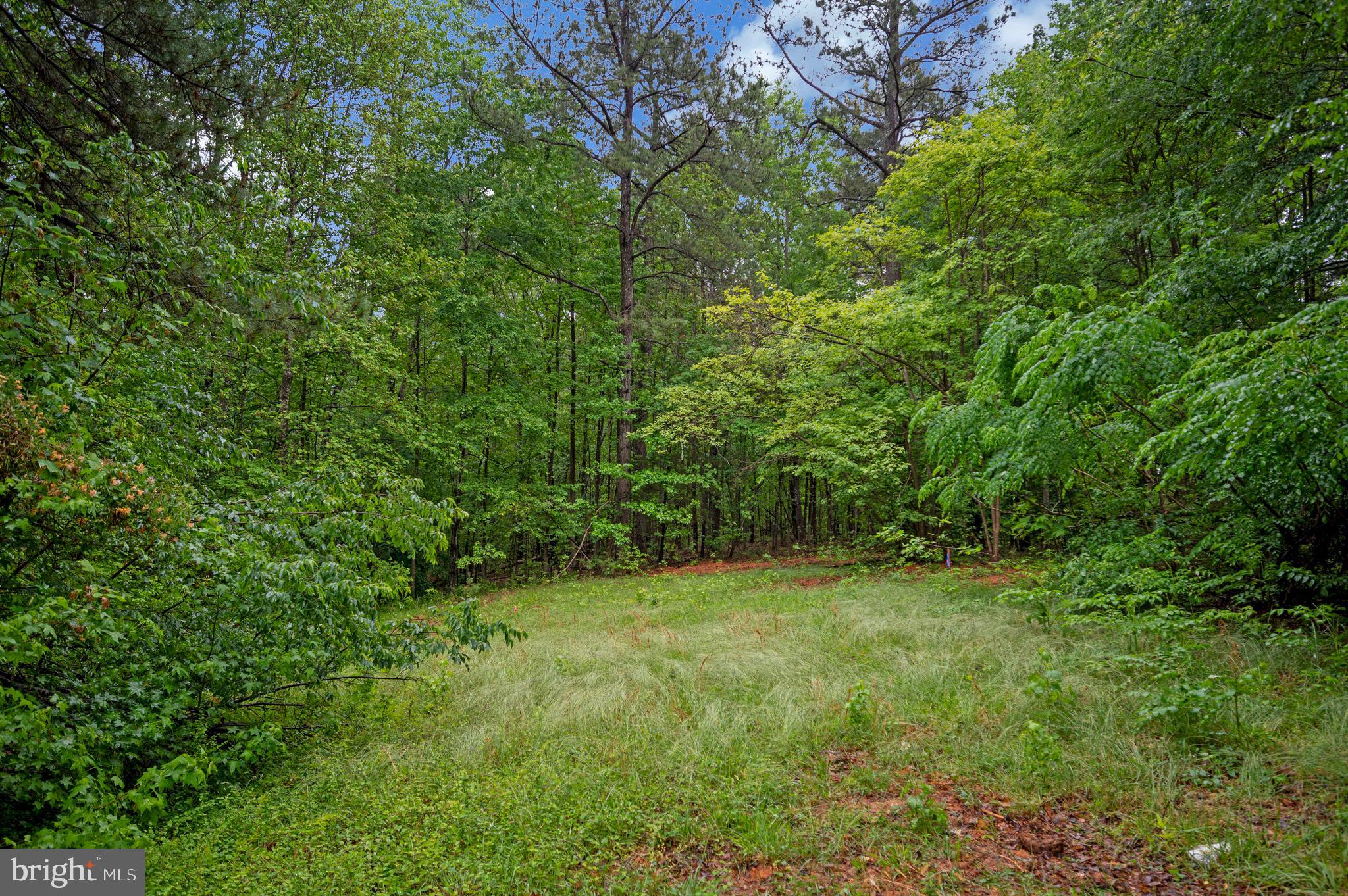 1438 Eastham Road Bumpass, VA 23024 - Photo 38 of 42