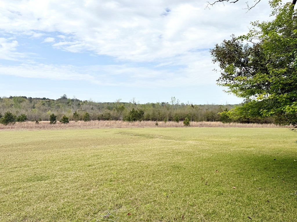 2235 Long Branch Road Toomsboro, GA 31090 - Photo 20 of 39 Gallery Image 20