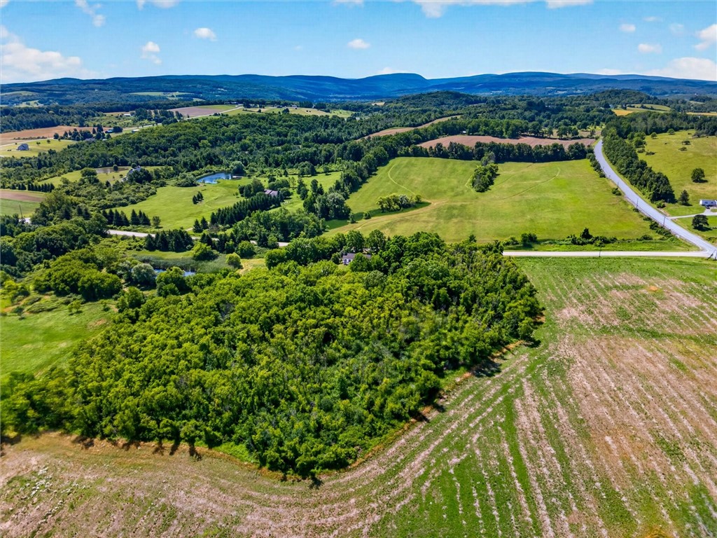 7142 Woolston Road East Bloomfield, NY 14469 - Photo 35 of 48 Looking SOUTH