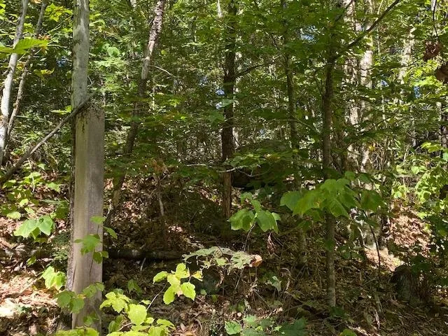 $399,500 | 86 Route 103 Sutton Nh 03260, Warner, NH 03278