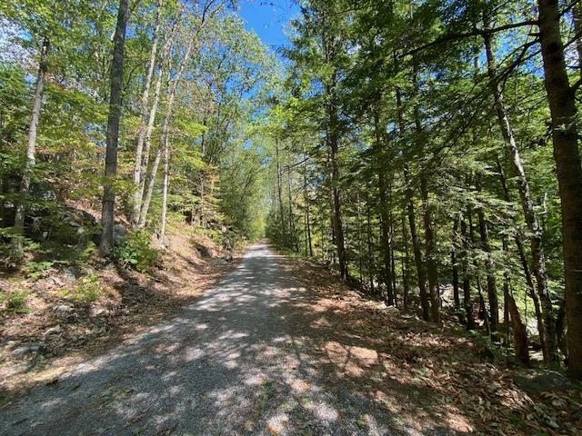 86 Route 103 Sutton Nh 03260 Warner, NH 03278 - Photo 4 of 22