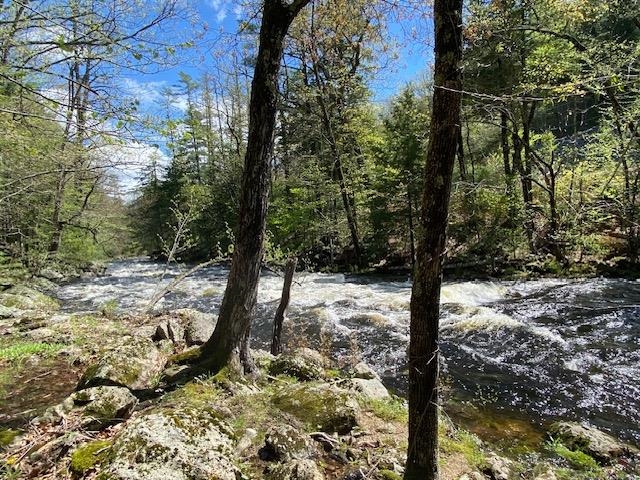 86 Route 103 Sutton Nh 03260 Warner, NH 03278 - Photo 8 of 22