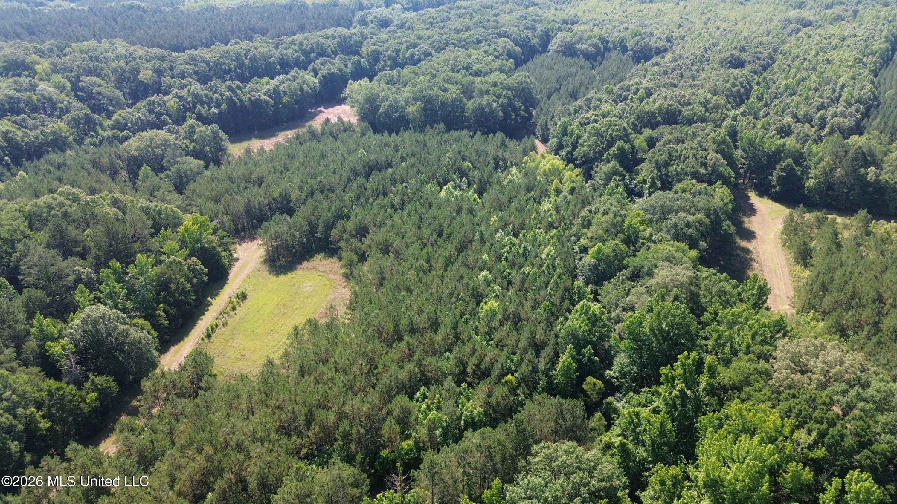 1359 Loring Rd Exd Camden, MS 39045 - Photo 91 of 91 DJI_0453
