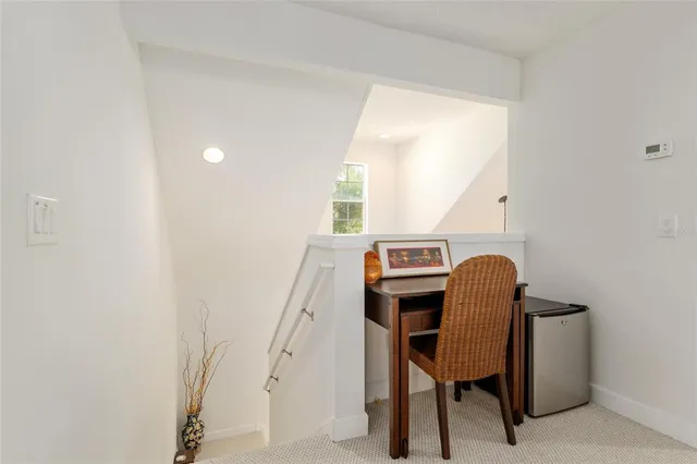 a view of a park with lots of palm trees