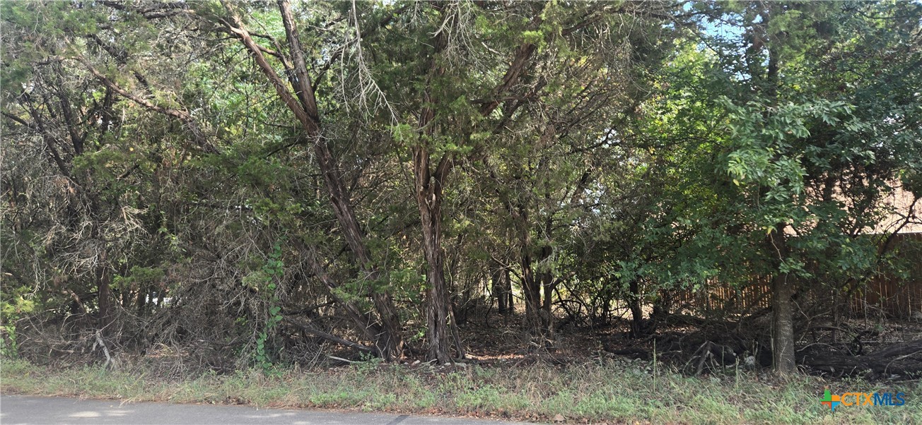 5594 Denmans Loop Belton, TX 76513 - Photo 2 of 5 a view of a yard
