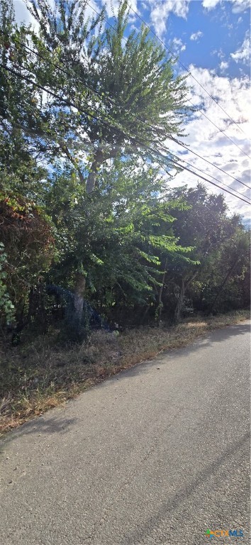 5594 Denmans Loop Belton, TX 76513 - Photo 3 of 5 a view of a yard with plants and large trees