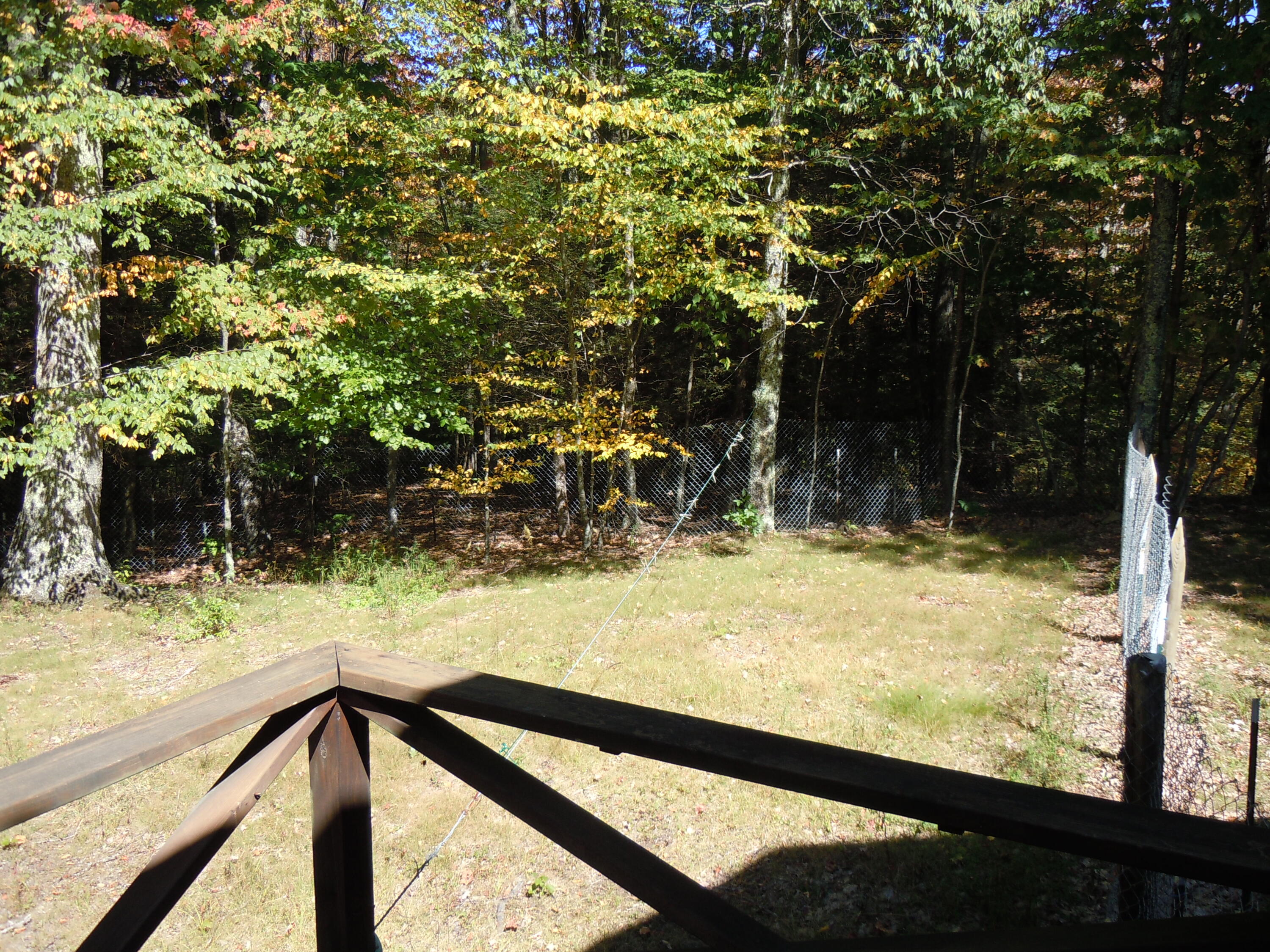 15240 Back Mountain Road Durbin, WV 26264 - Photo 23 of 82 Gallery Image 23