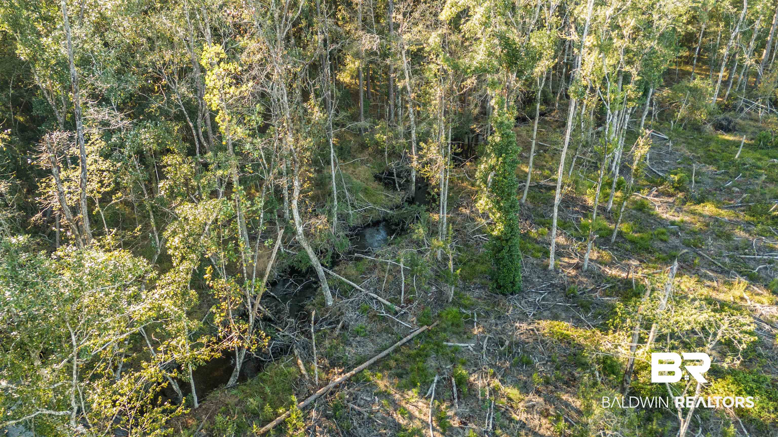 0 County Road 112 Robertsdale, AL 36567 - Photo 10 of 33 View of local wilderness