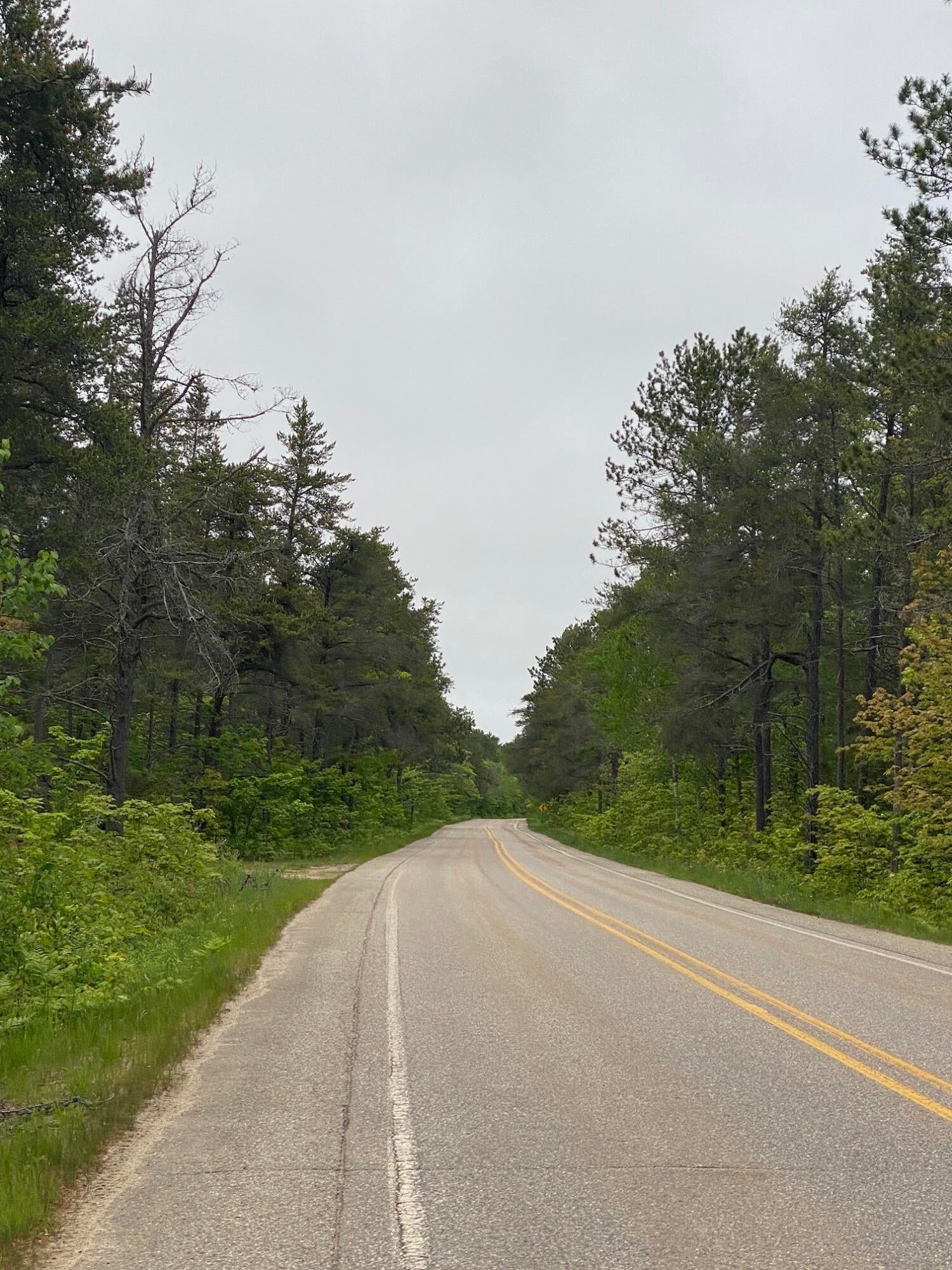 14555 North Whitefish Point Road Paradise, MI 49768 - Photo 3 of 3 Gallery Image 3