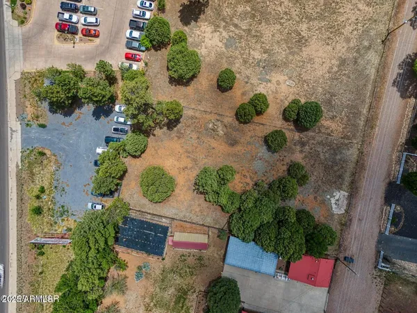 an outdoor space with potted plant
