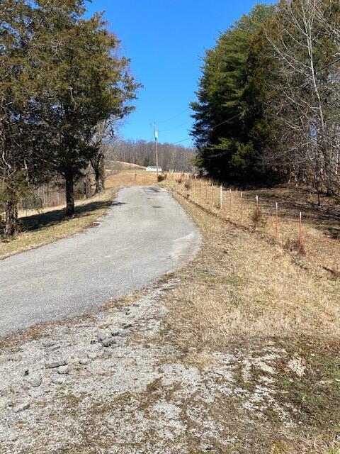 Lot 1 Reeder Town Road, Unit LOT 1 Byrdstown, TN 38549 - Photo 3 of 4 Dale Hollow Tr1