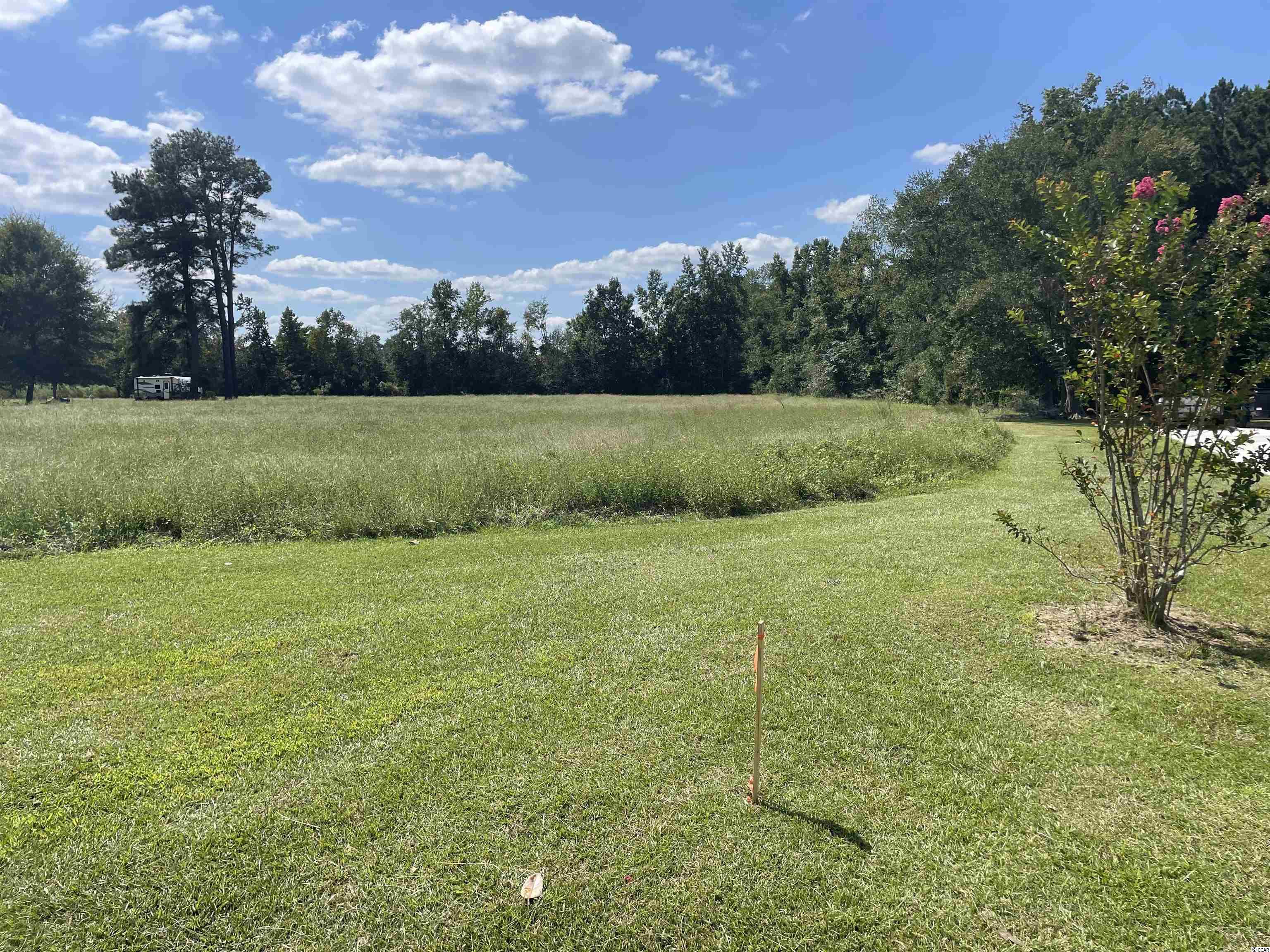 Tbd Suggs Street Loris, SC 29569 - Photo 4 of 13