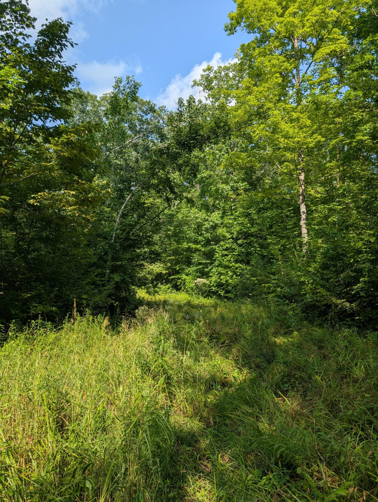 4 West Y Road Exeland, WI 54835 - Photo 12 of 31 Gallery Image 12