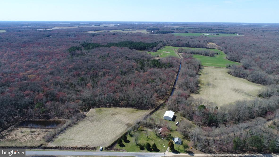 16450 Lentz Road Henderson, MD 21640 - Photo 14 of 33 Gallery Image 14