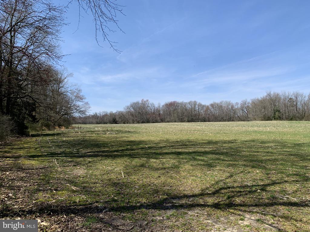 16450 Lentz Road Henderson, MD 21640 - Photo 16 of 33 Gallery Image 16