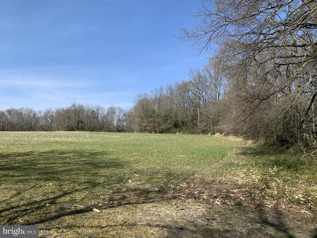 16450 Lentz Road Henderson, MD 21640 - Photo 18 of 33 Gallery Image 18