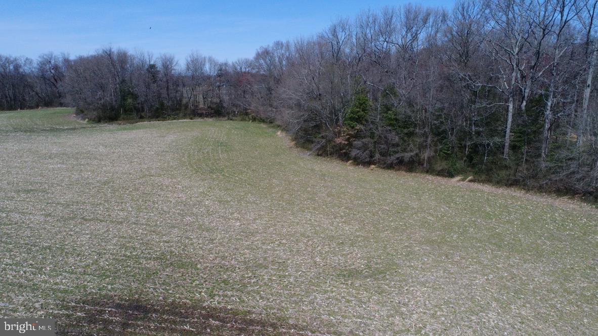 16450 Lentz Road Henderson, MD 21640 - Photo 28 of 33 Gallery Image 28