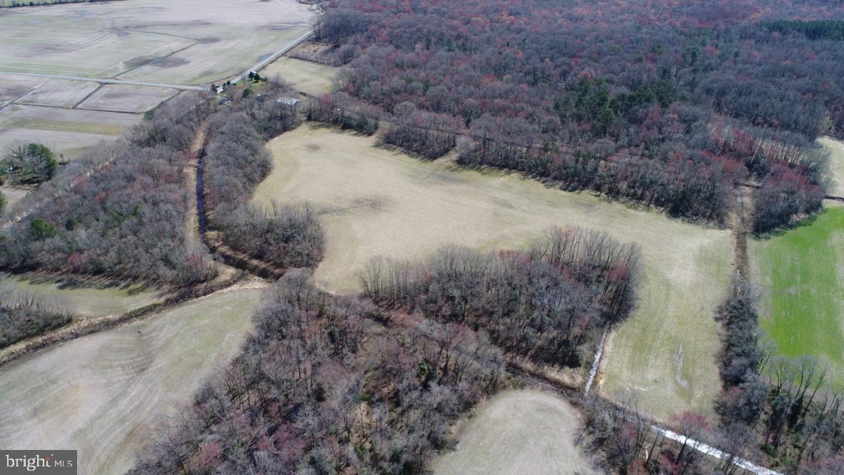 16450 Lentz Road Henderson, MD 21640 - Photo 8 of 33 Gallery Image 8