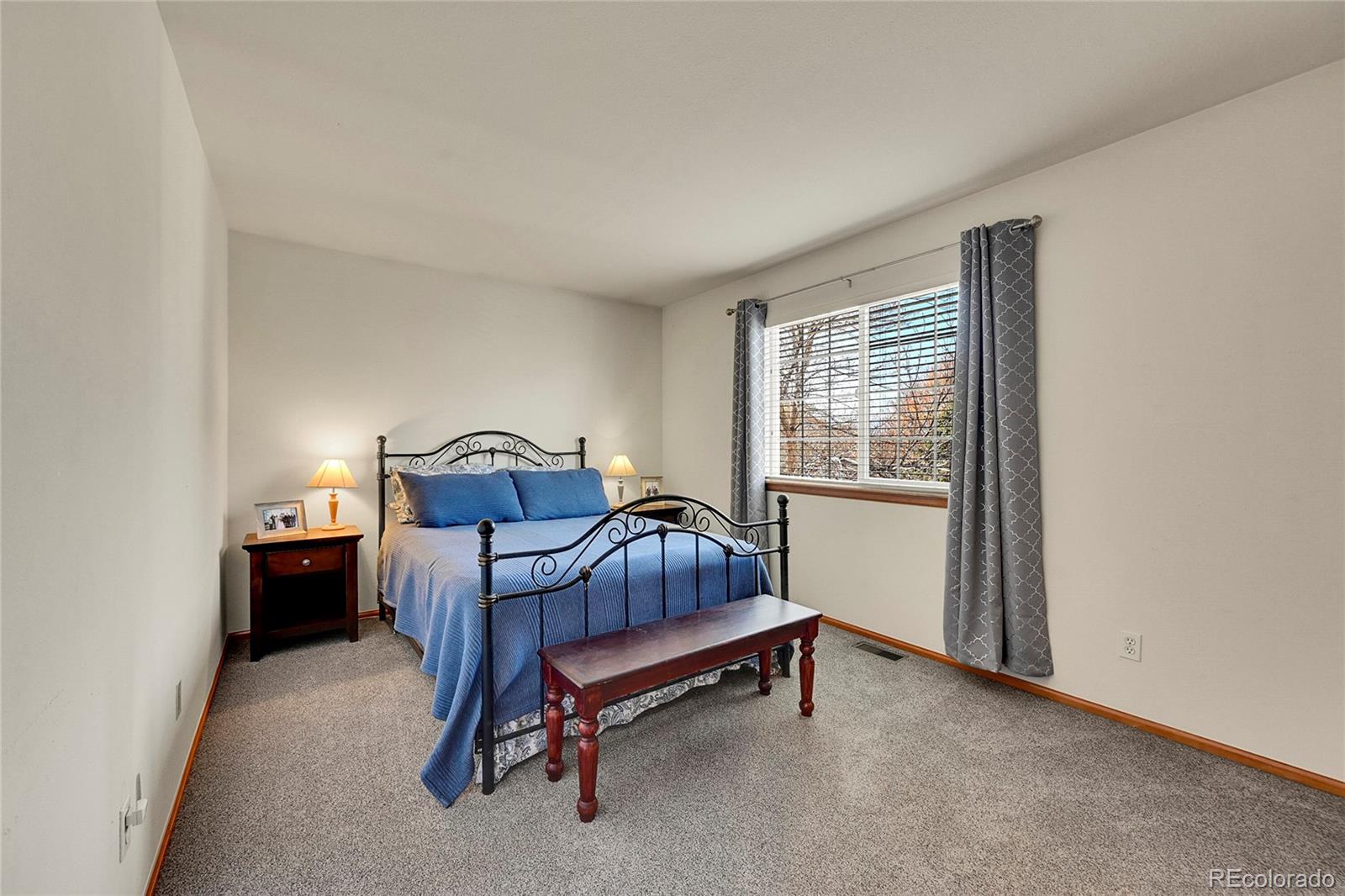 1086 Thornbury Place Highlands Ranch, CO 80129 - Photo 20 of 43