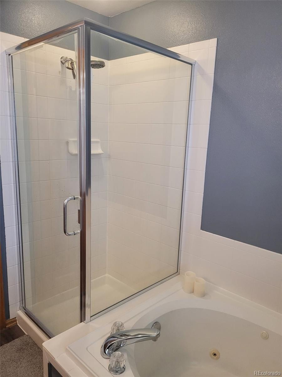 1086 Thornbury Place Highlands Ranch, CO 80129 - Photo 23 of 43