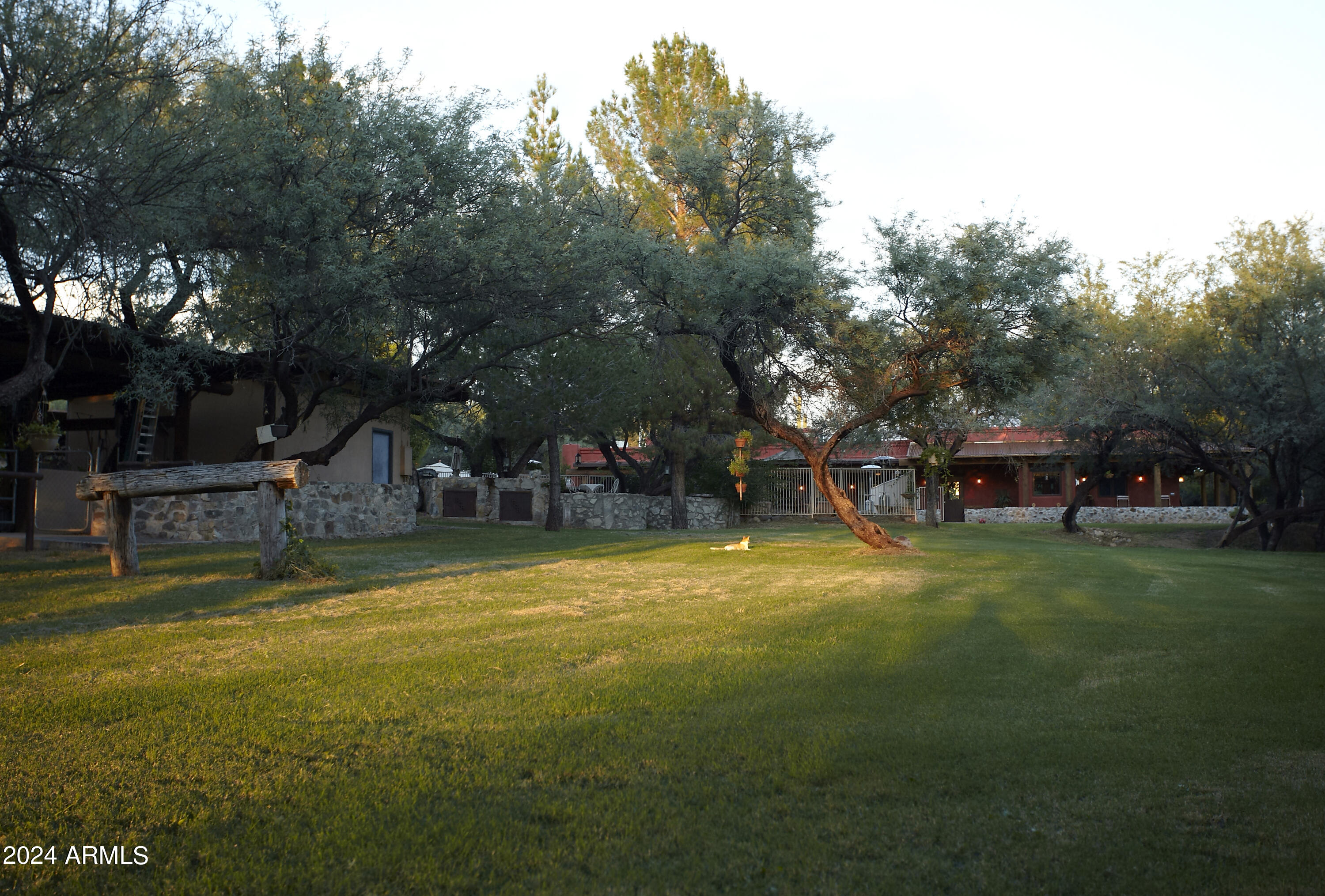 14545 East Rincon Creek Ranch Road Tucson, AZ 85747 - Photo 22 of 91 Back Lawn towards house