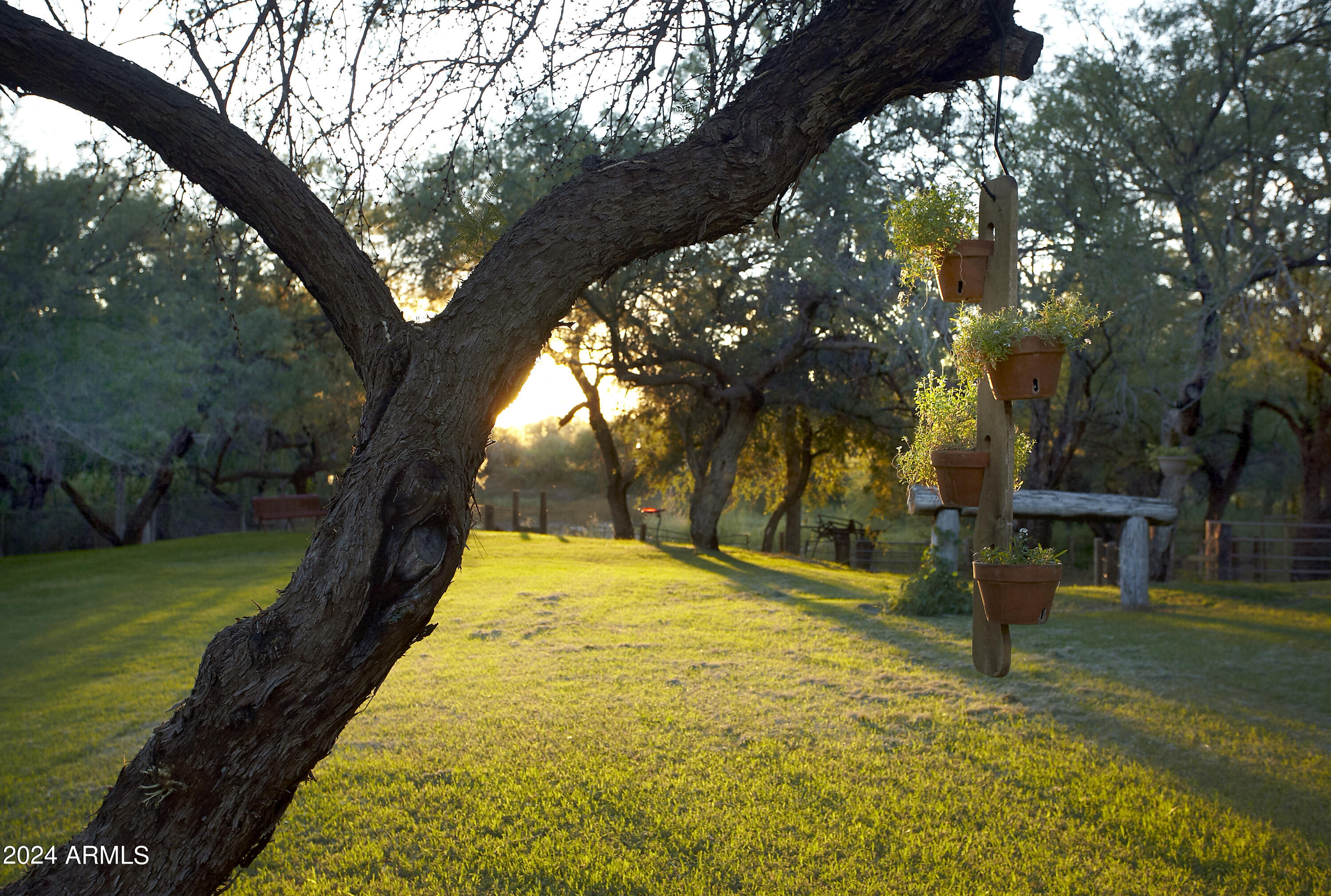 14545 East Rincon Creek Ranch Road Tucson, AZ 85747 - Photo 23 of 91 Back Lawn