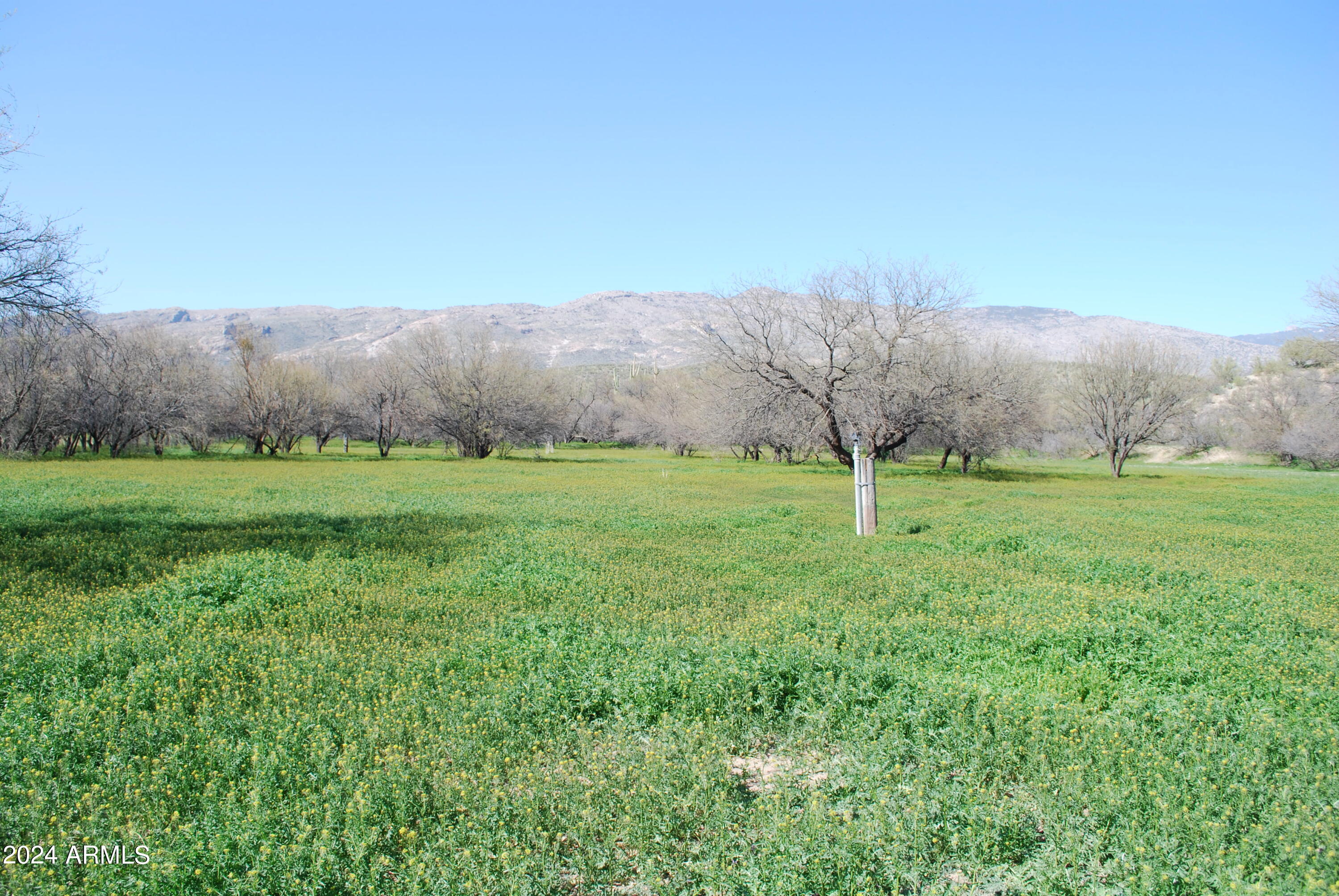14545 East Rincon Creek Ranch Road Tucson, AZ 85747 - Photo 27 of 91 Pasture-1