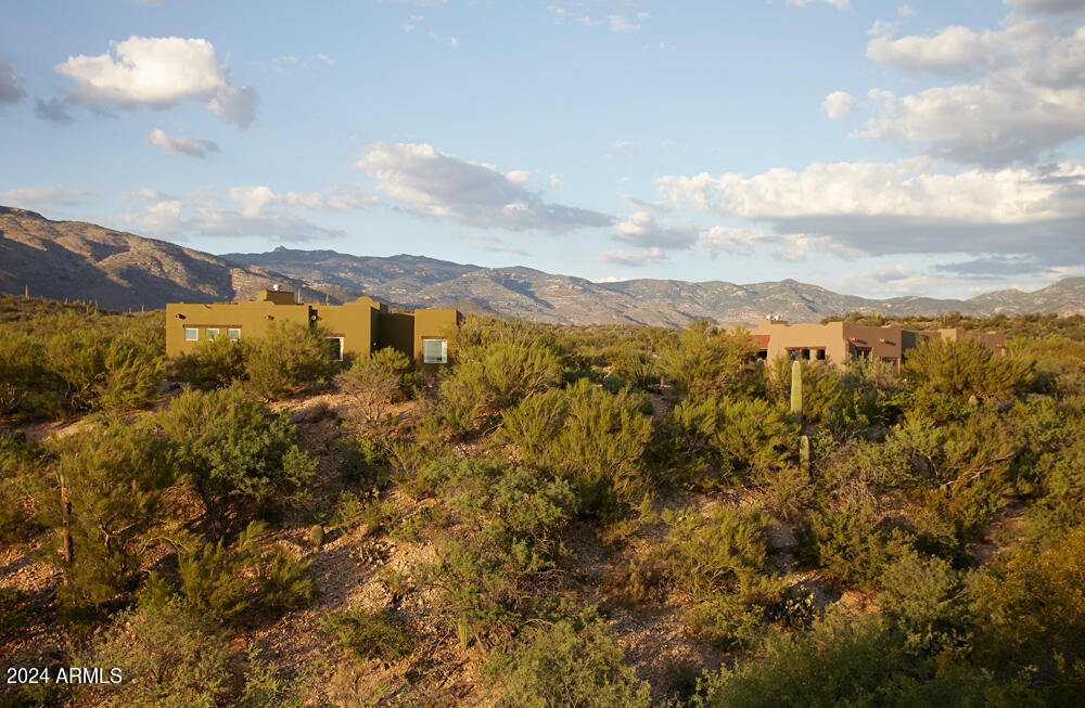 14545 East Rincon Creek Ranch Road Tucson, AZ 85747 - Photo 40 of 91 Cottage & Appaloosa Bill Shirley