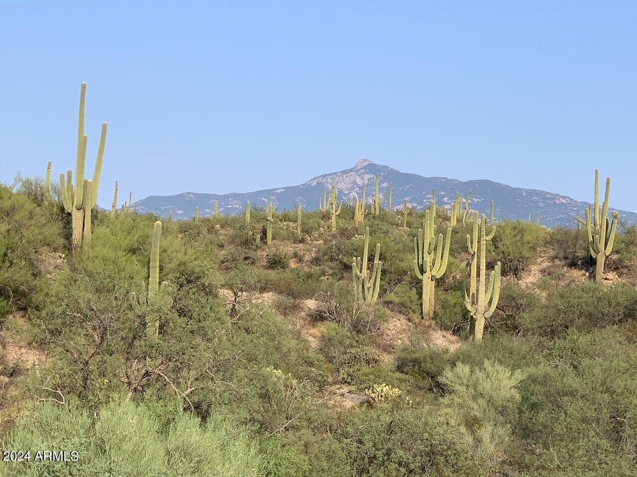 14545 East Rincon Creek Ranch Road Tucson, AZ 85747 - Photo 90 of 91 Saguaros-Rincon Peak