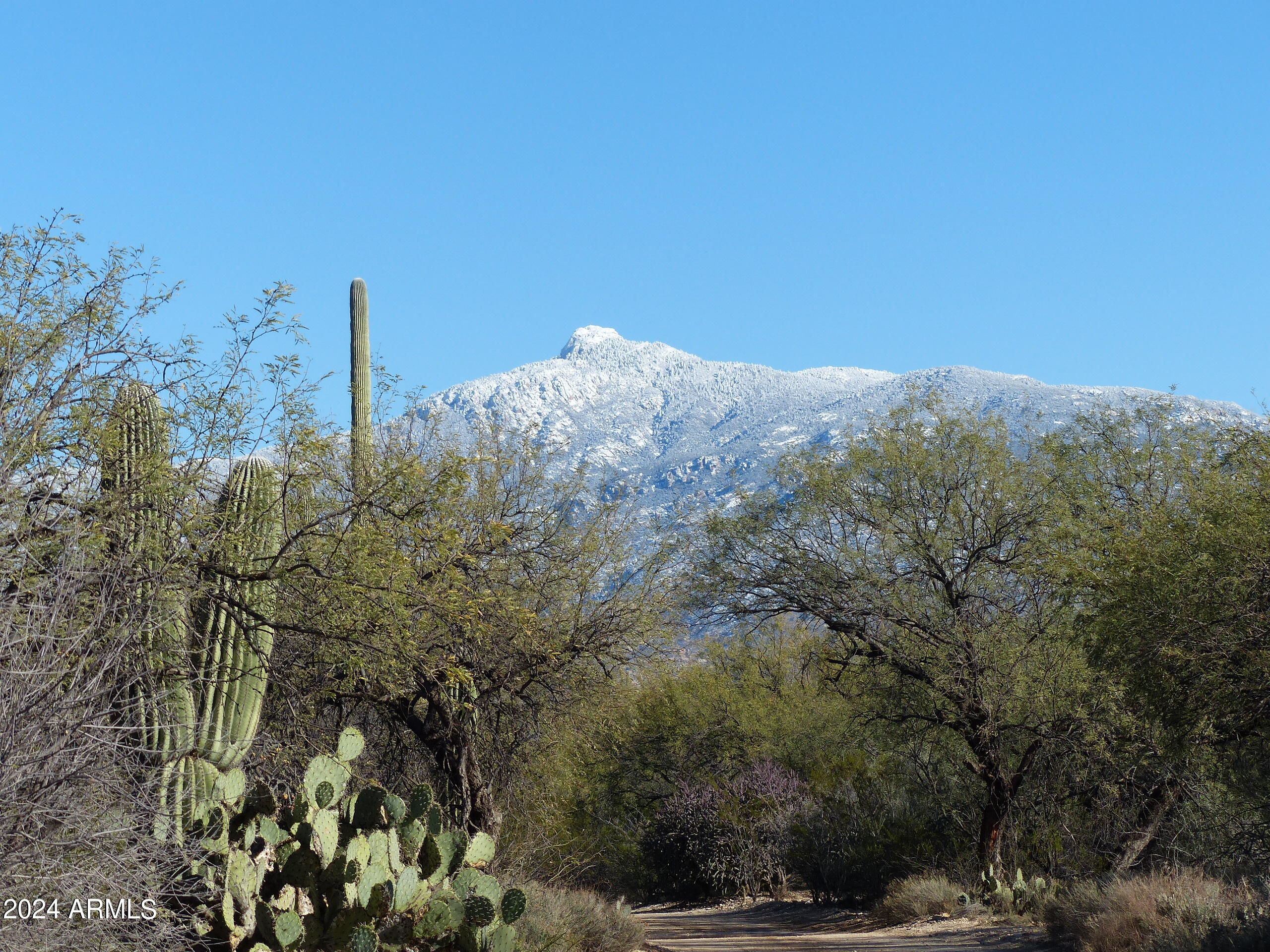 14545 East Rincon Creek Ranch Road Tucson, AZ 85747 - Photo 91 of 91 Rincon Peak from gate