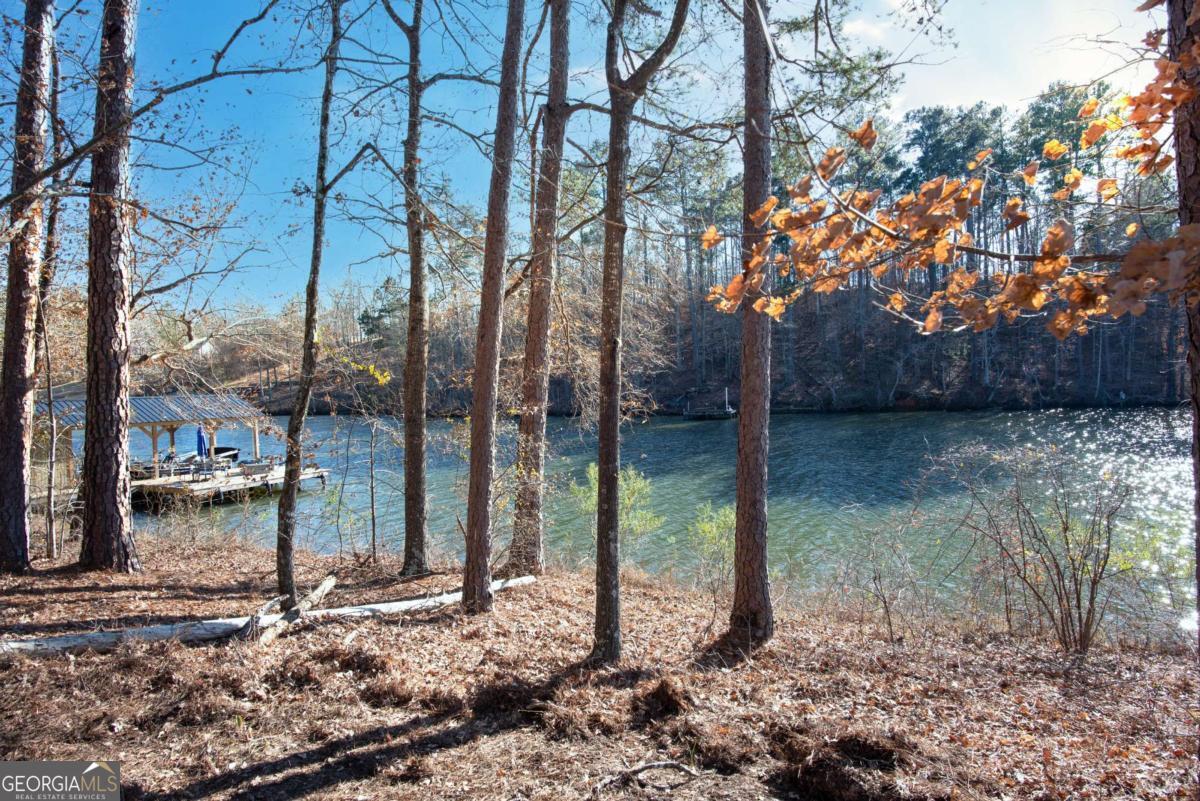 0 Hickory Pass Sparta, GA 31087 - Photo 11 of 40