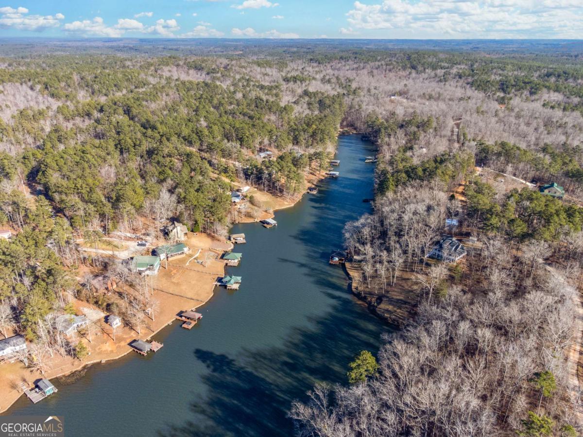 0 Hickory Pass Sparta, GA 31087 - Photo 11 of 33