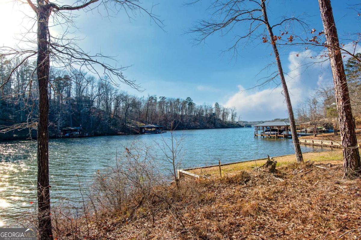 0 Hickory Pass Sparta, GA 31087 - Photo 13 of 40