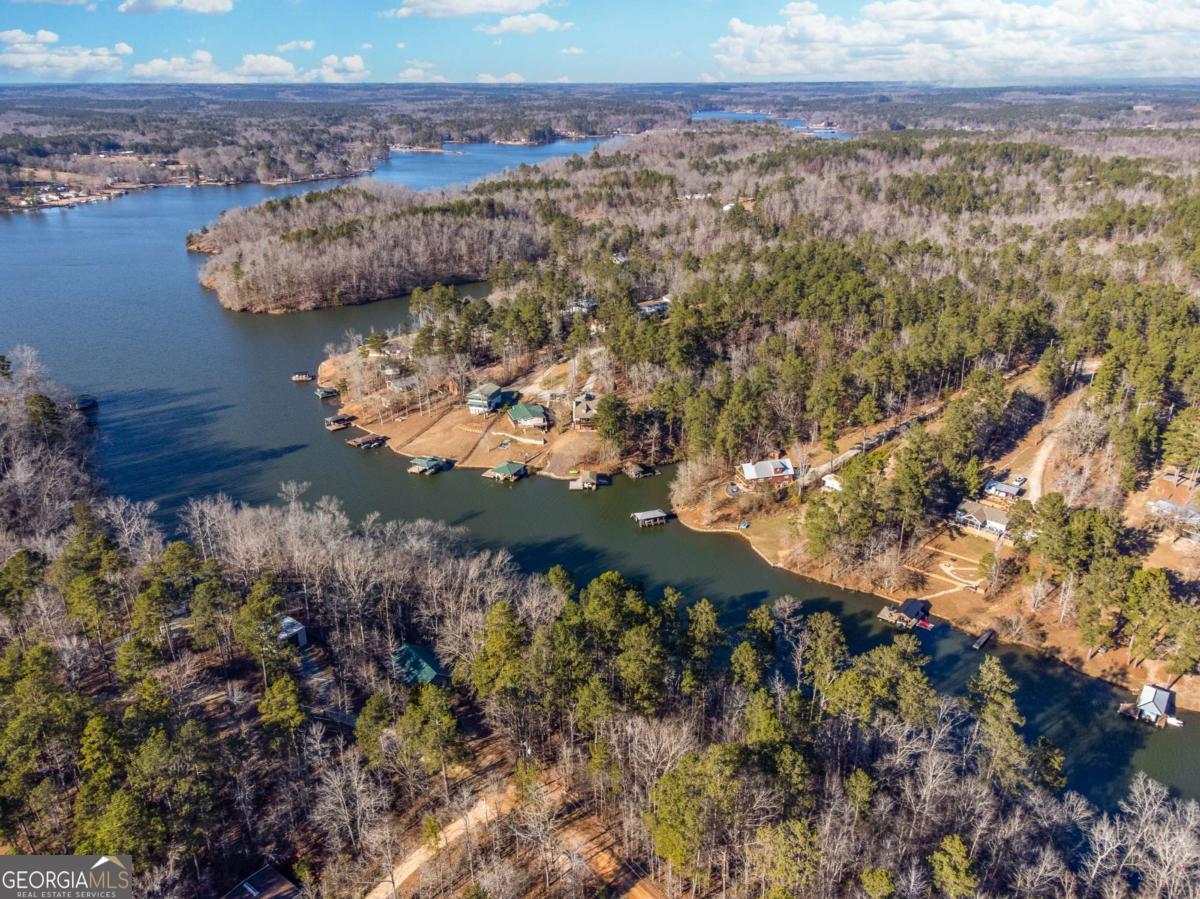 0 Hickory Pass Sparta, GA 31087 - Photo 14 of 33