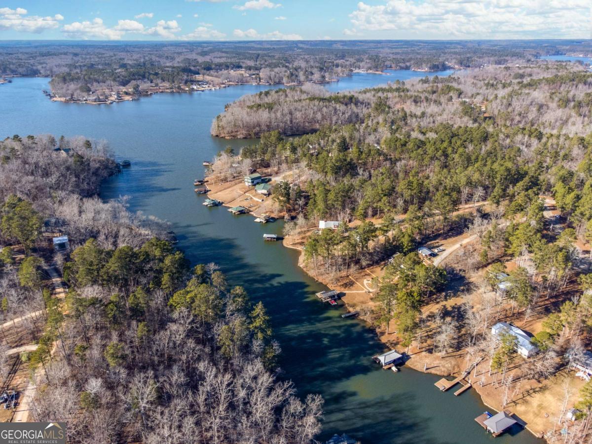 0 Hickory Pass Sparta, GA 31087 - Photo 15 of 33