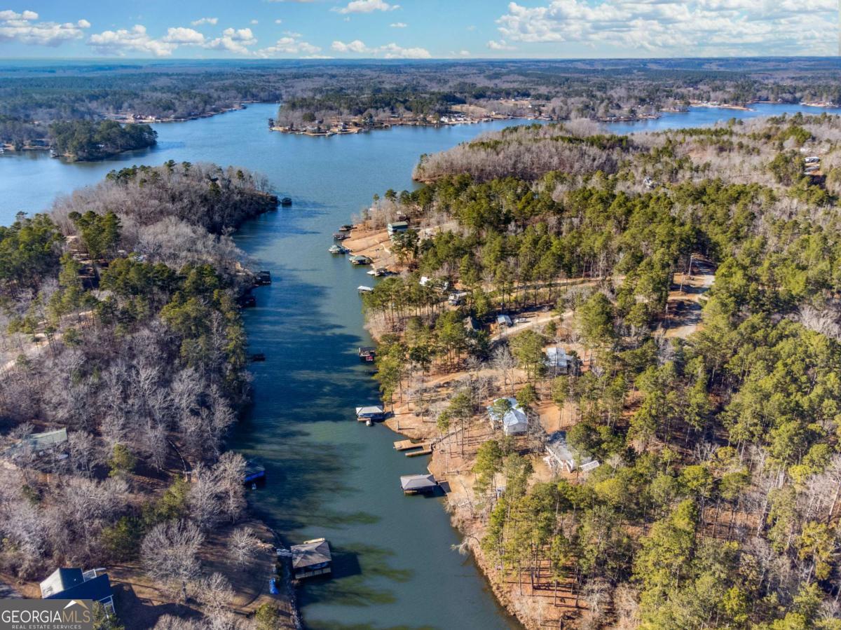 0 Hickory Pass Sparta, GA 31087 - Photo 16 of 33