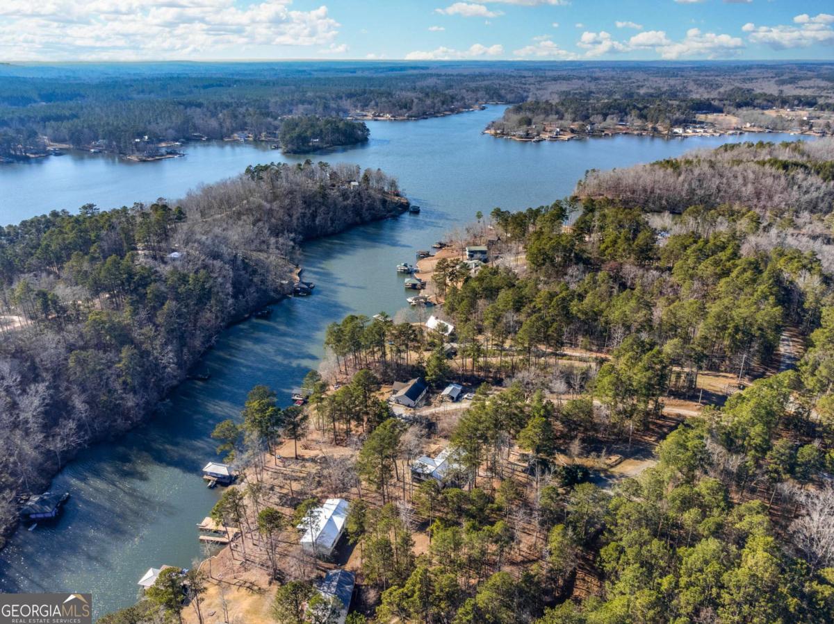 0 Hickory Pass Sparta, GA 31087 - Photo 17 of 33