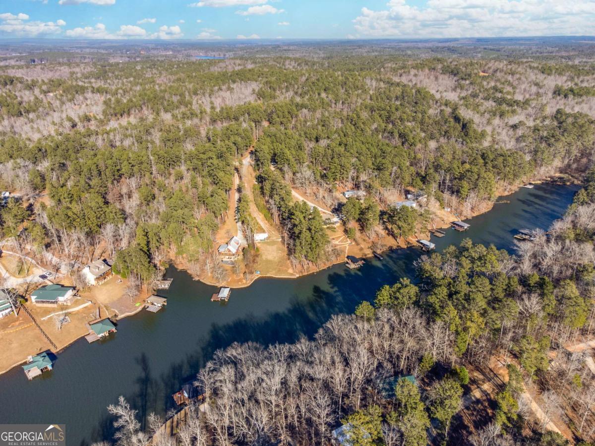 0 Hickory Pass Sparta, GA 31087 - Photo 19 of 40