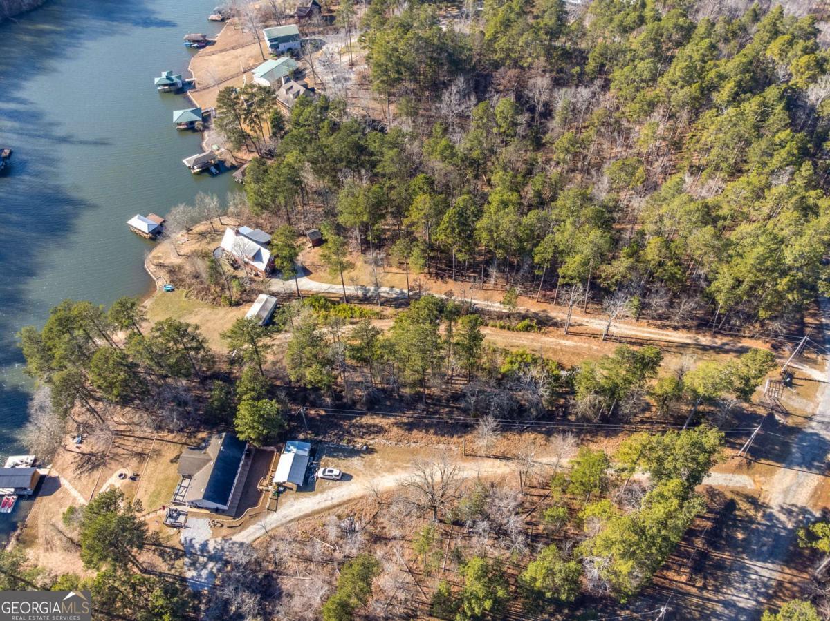 0 Hickory Pass Sparta, GA 31087 - Photo 20 of 33