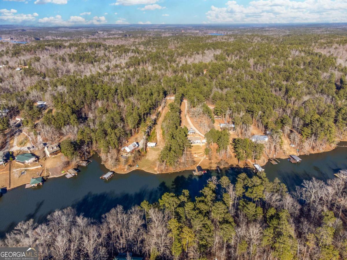 0 Hickory Pass Sparta, GA 31087 - Photo 20 of 40