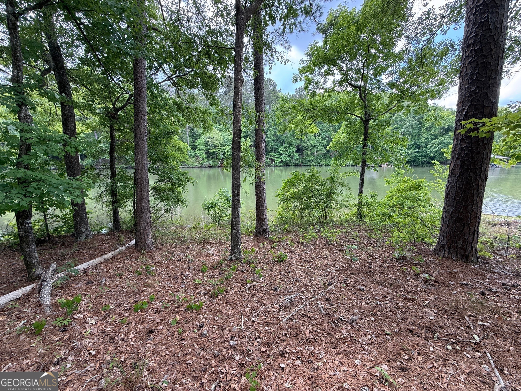 0 Hickory Pass Sparta, GA 31087 - Photo 2 of 40