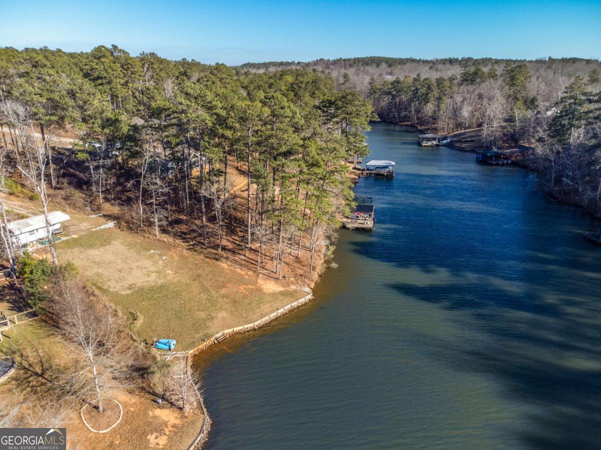 0 Hickory Pass Sparta, GA 31087 - Photo 22 of 33