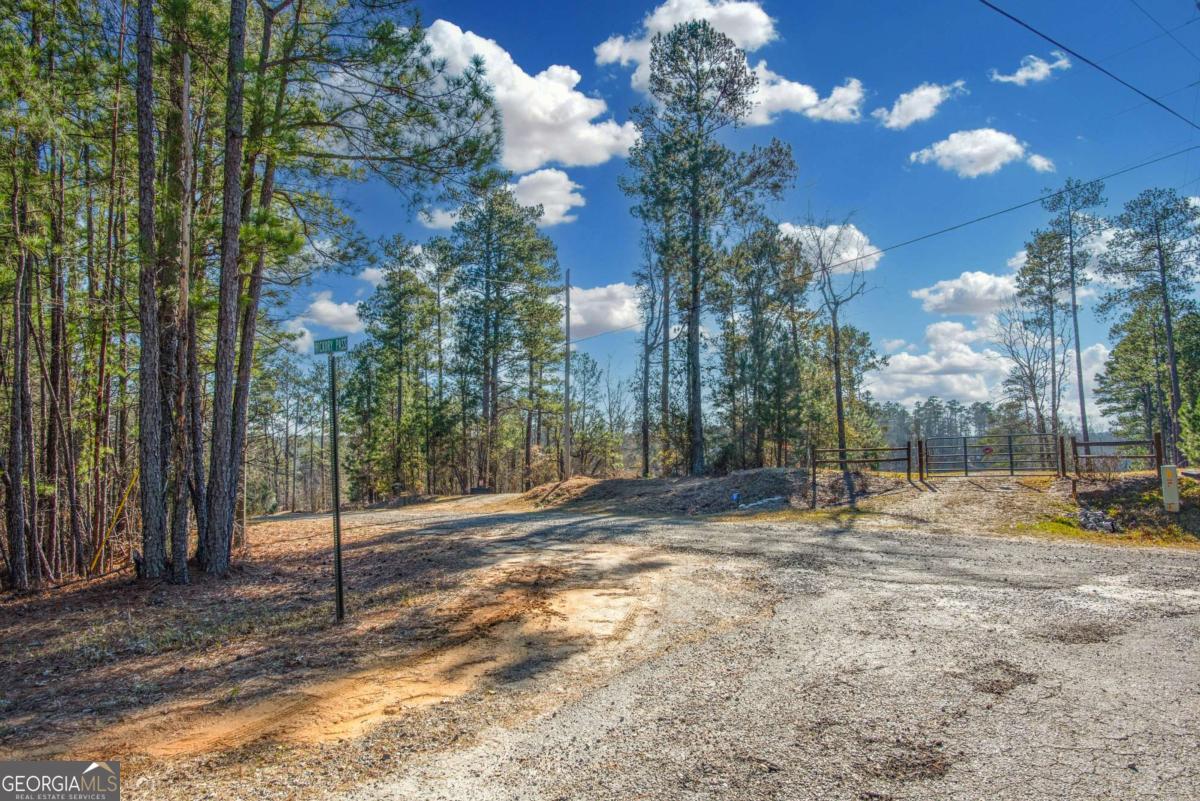 0 Hickory Pass Sparta, GA 31087 - Photo 23 of 33