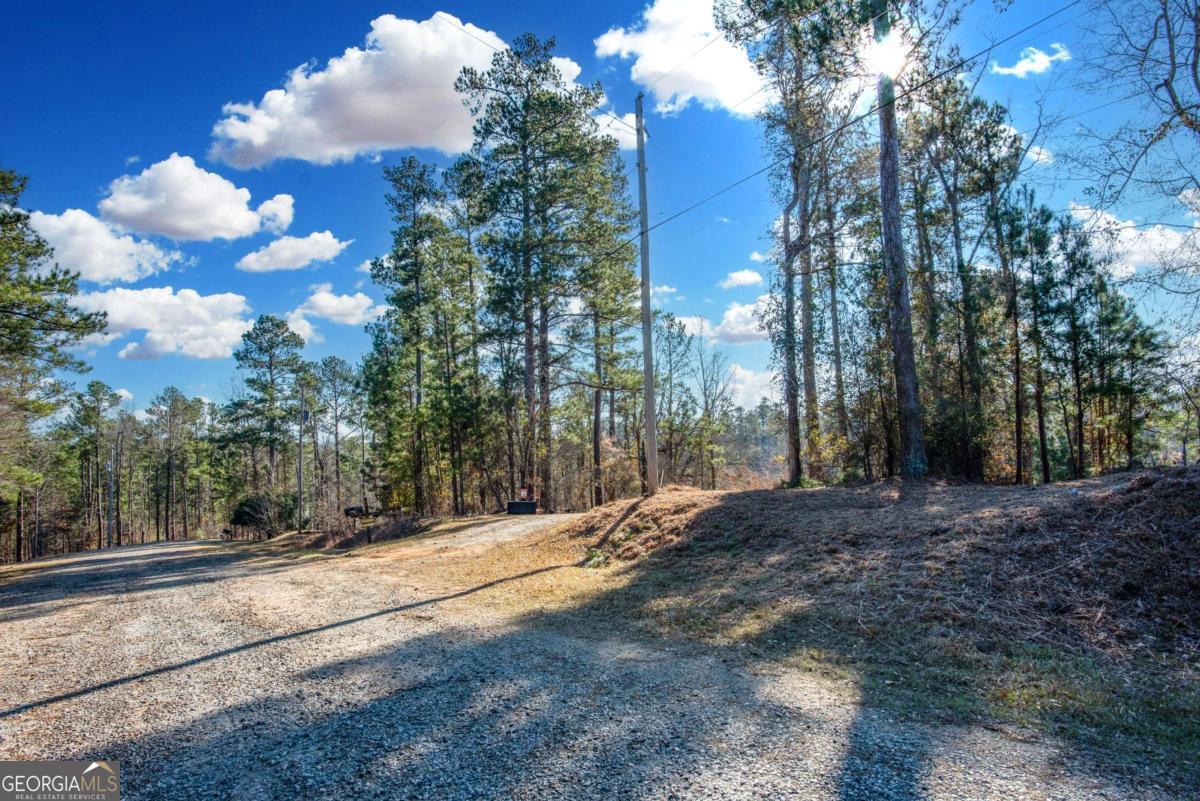 0 Hickory Pass Sparta, GA 31087 - Photo 24 of 33