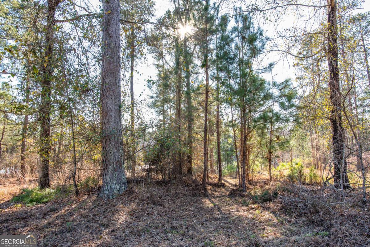 0 Hickory Pass Sparta, GA 31087 - Photo 25 of 33