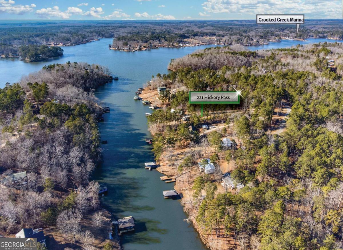 0 Hickory Pass Sparta, GA 31087 - Photo 3 of 33