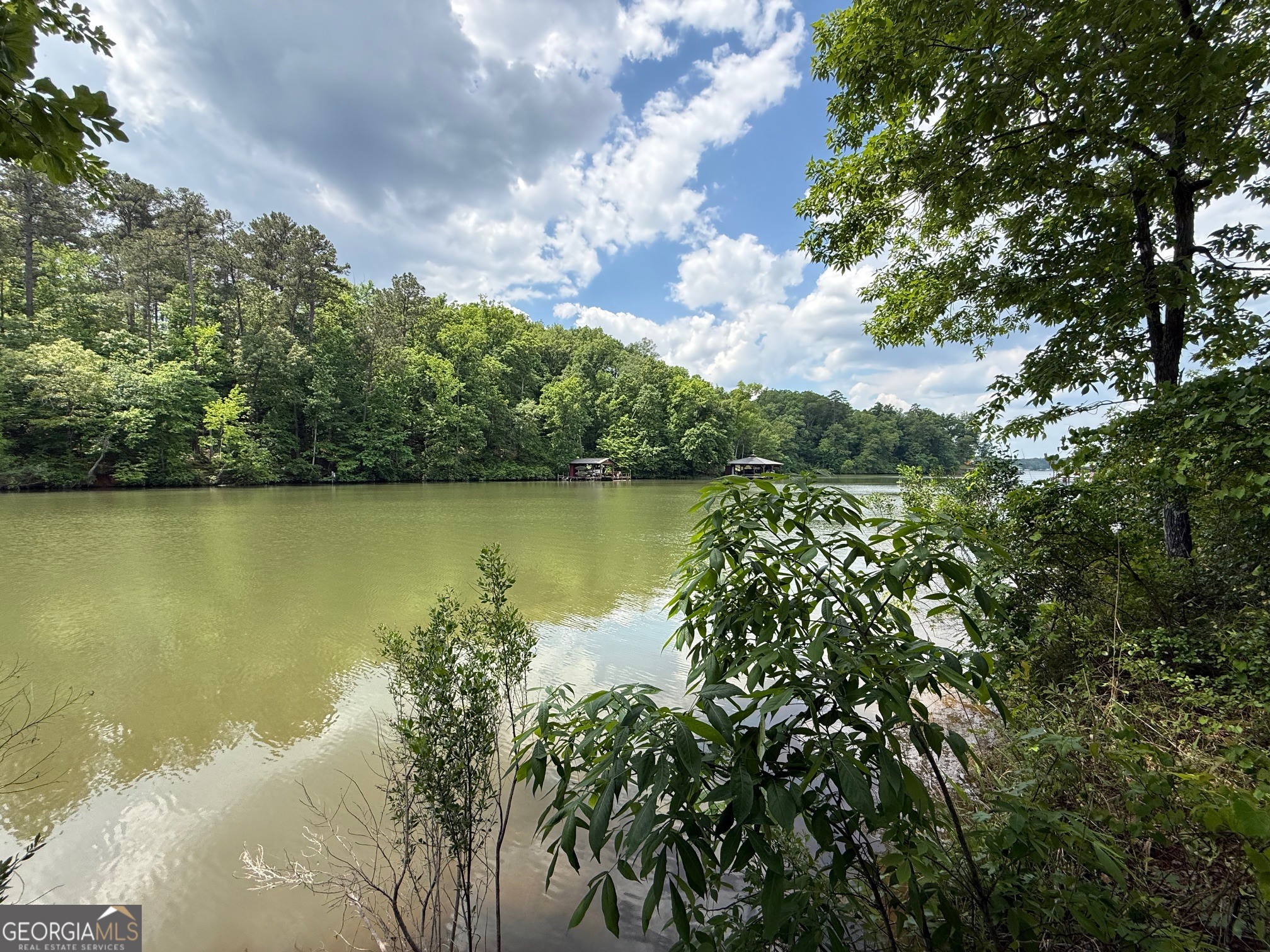0 Hickory Pass Sparta, GA 31087 - Photo 3 of 40