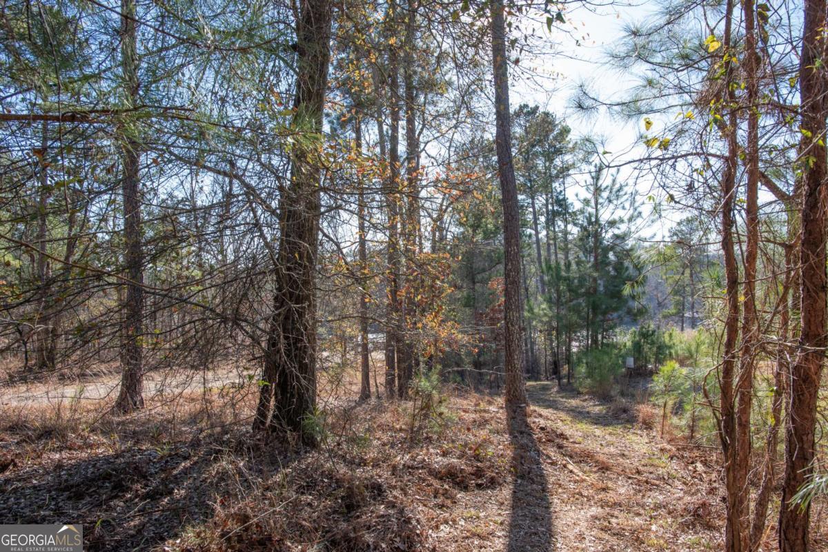 0 Hickory Pass Sparta, GA 31087 - Photo 33 of 40