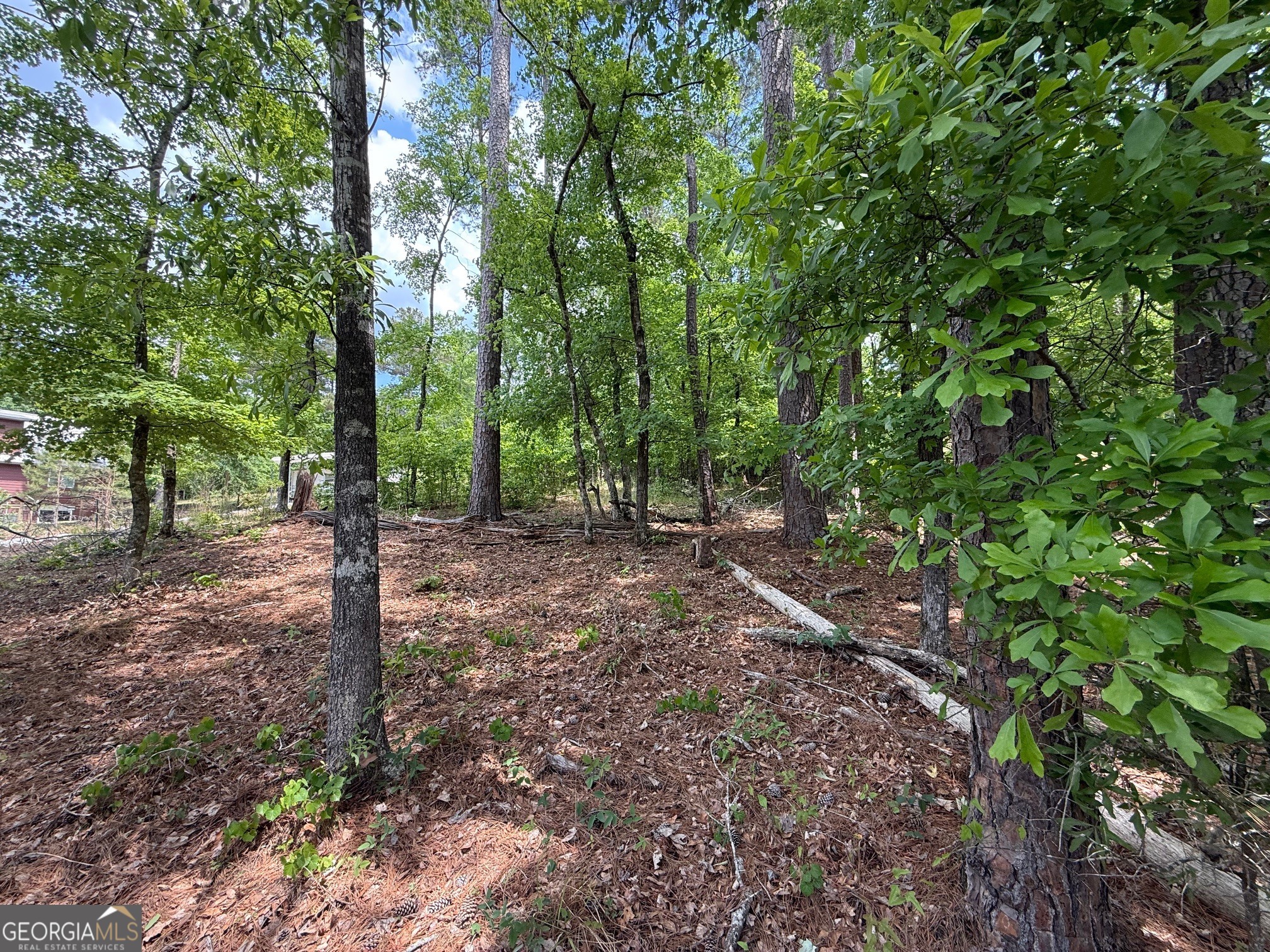 0 Hickory Pass Sparta, GA 31087 - Photo 4 of 40