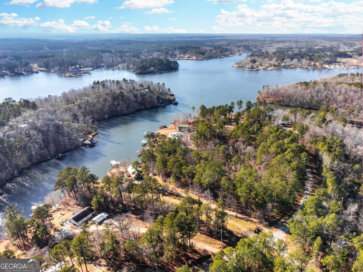 0 Hickory Pass Sparta, GA 31087 - Photo 5 of 33